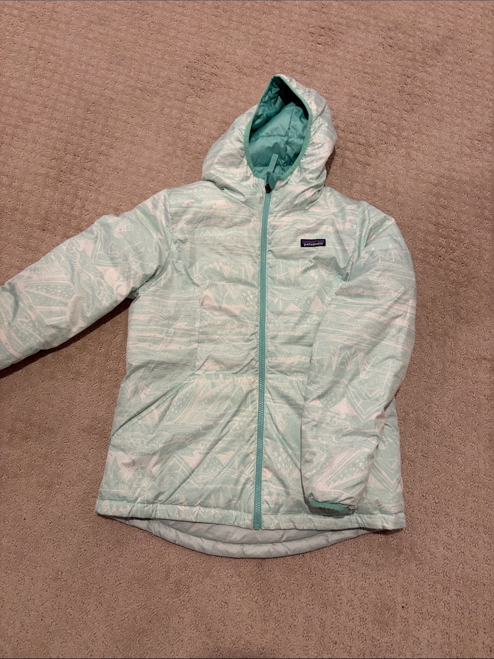 Patagonia Light teal Patterned Hooded Jacket